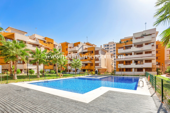 Apartament - Odsprzedaż - Punta Prima - M-55383