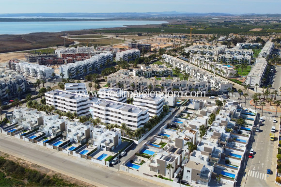 Apartamento - Obra Nueva - Guardamar del Segura - Guardamar Del Segura
