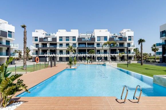 Apartamento - Obra Nueva - Guardamar del Segura - M8921