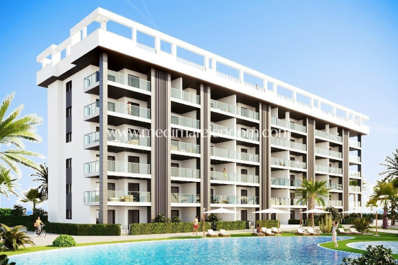 Apartamento - Obra Nueva - Torrevieja - M-33588