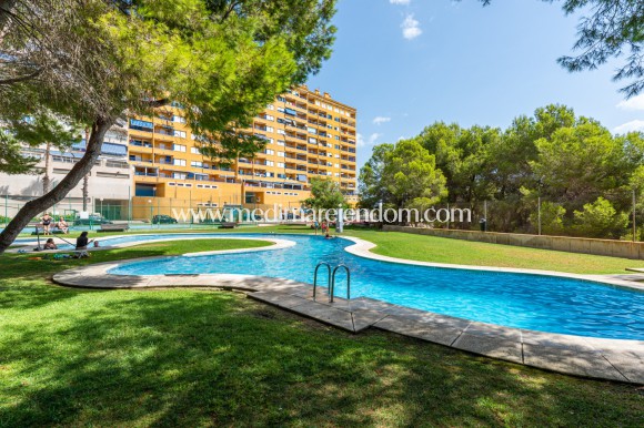 Apartamento - Reventa - Orihuela Costa - M9012