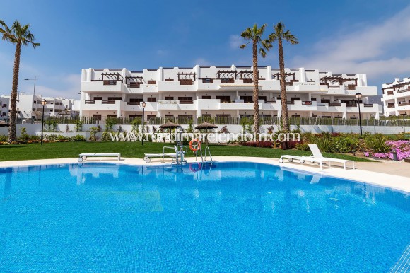 Apartment - New build - San Juan de los Terreros - M8956