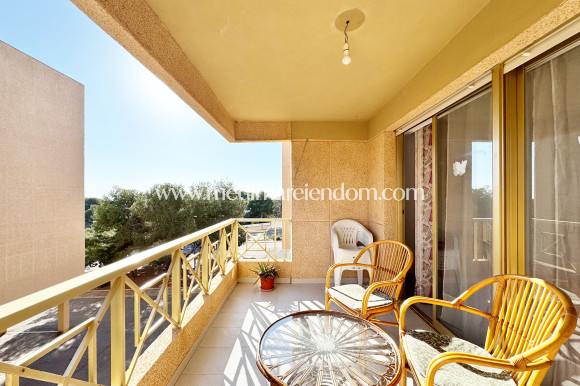 Apartment - Verkauf - Orihuela - M-38797