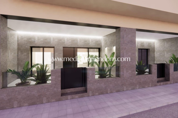Appartement - Nouvelle Construction - Catral - M-39961