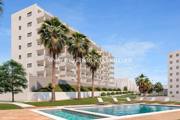 Appartement - Nouvelle Construction - San Miguel de Salinas - M-57786