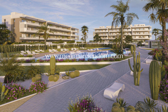 Appartement - Nouvelle Construction - Torrevieja - M-43383