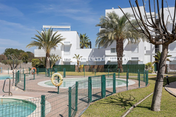 Appartement - Nouvelle Construction - Vera - Vera Playa