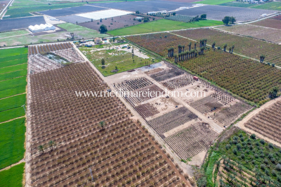 Brukt bolig - Finca - Albatera