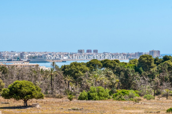 Brukt bolig - Leilighet - Orihuela Costa - Punta Prima