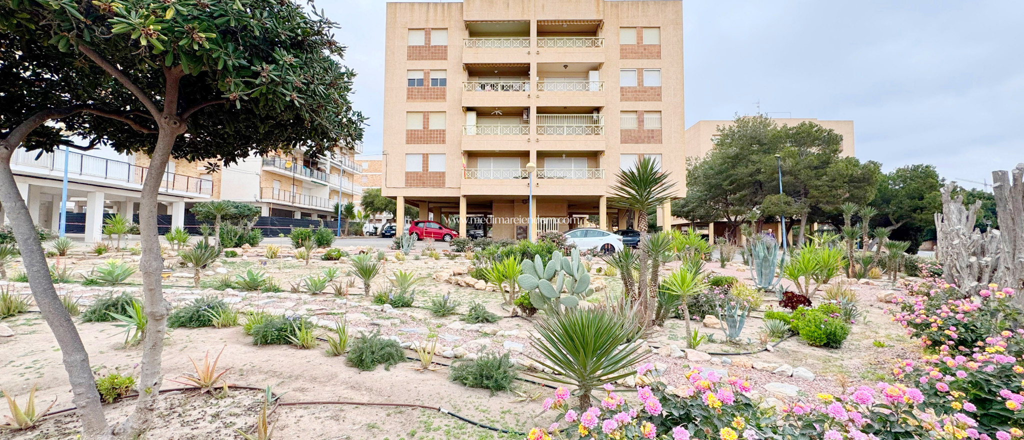 Brukt bolig - Leilighet - Orihuela - Orihuela Costa