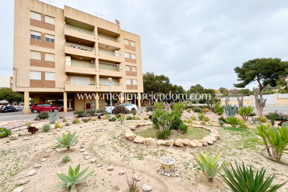 Brukt bolig - Leilighet - Orihuela - Orihuela Costa