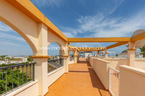 Brukt bolig - Leilighet - Orihuela - Villamartin