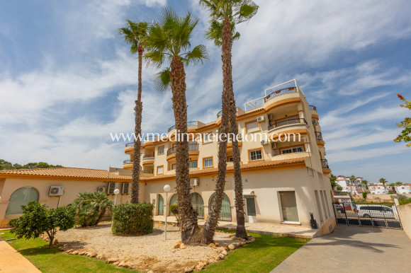 Brukt bolig - Leilighet - Orihuela - Villamartin