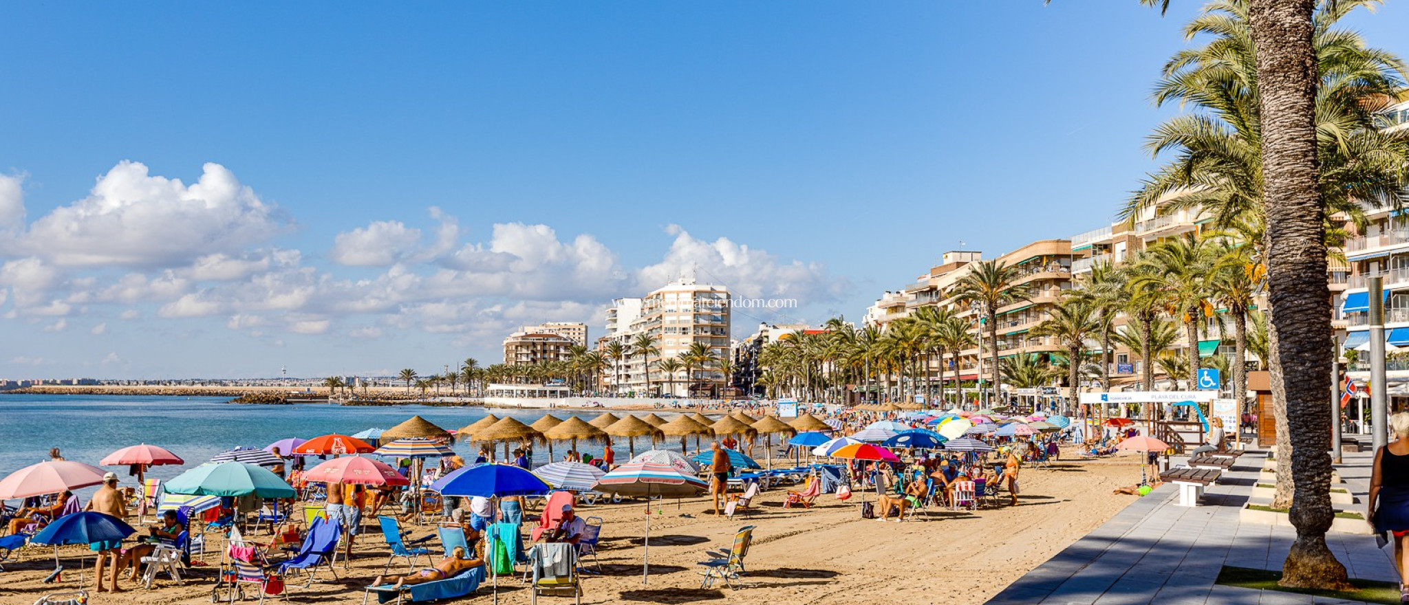Brukt bolig - Leilighet - Torrevieja - Playa De Los Locos