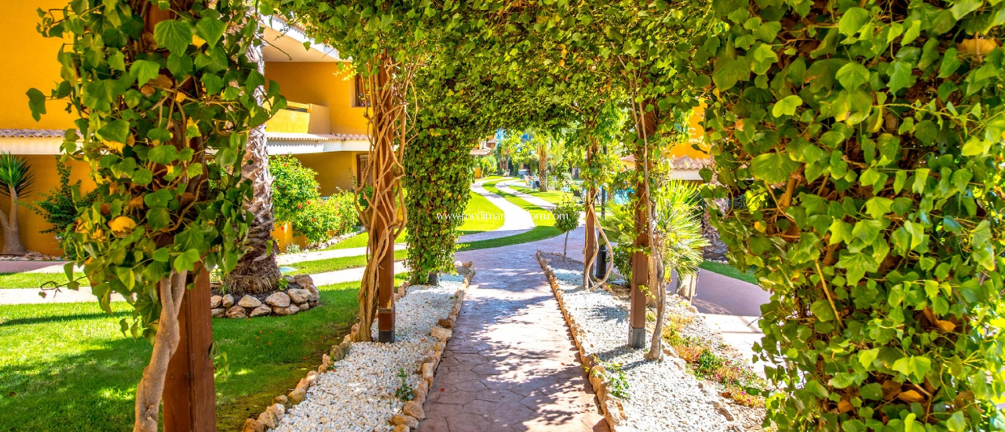 Brukt bolig - Leilighet - Torrevieja - Punta Prima