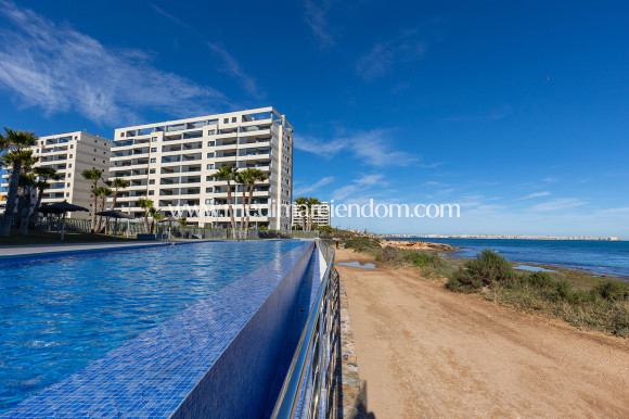 Brukt bolig - Leilighet - Torrevieja - Punta Prima