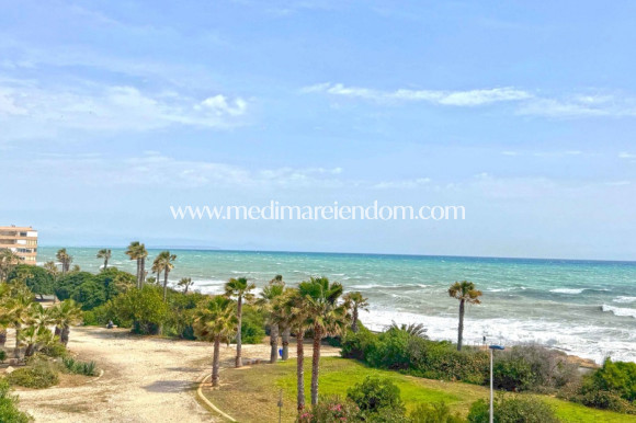 Brukt bolig - Leilighet - Torrevieja - Torrelamata - La Mata