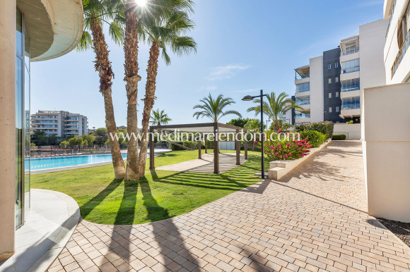 Brukt bolig - Penthouse - Orihuela Costa - Villamartín-Las Filipinas