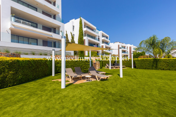 Brukt bolig - Penthouse - Orihuela Costa
