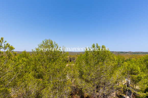 Brukt bolig - Penthouse - Orihuela Costa