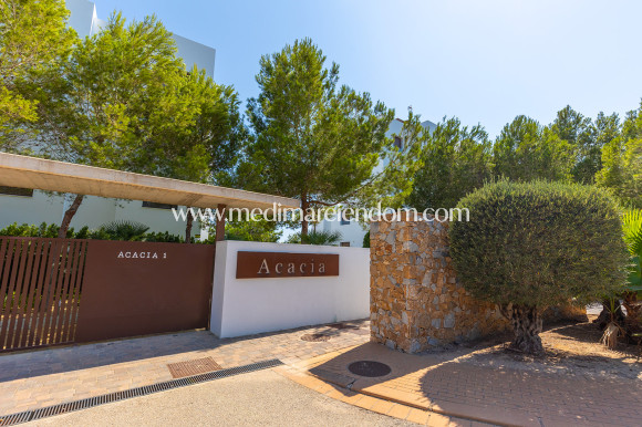 Brukt bolig - Penthouse - Orihuela Costa