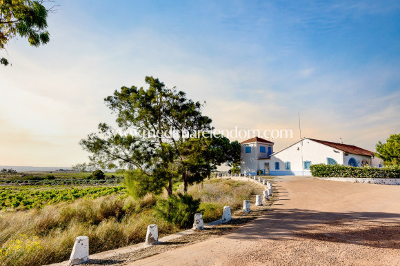 Endursala - EINBÝLISHÚS - Torrevieja - El Chaparral