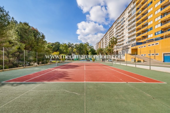 Endursala - Íbúð - Orihuela Costa - Campoamor