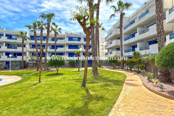 Endursala - Íbúð - Orihuela Costa - Playa Flamenca