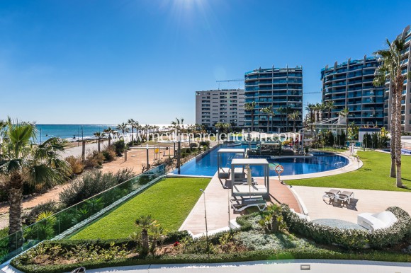 Endursala - Íbúð - Orihuela Costa - Punta Prima