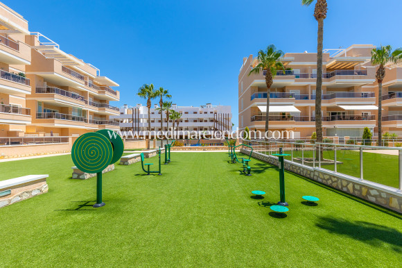 Endursala - Íbúð - Orihuela Costa - Villamartín-Las Filipinas