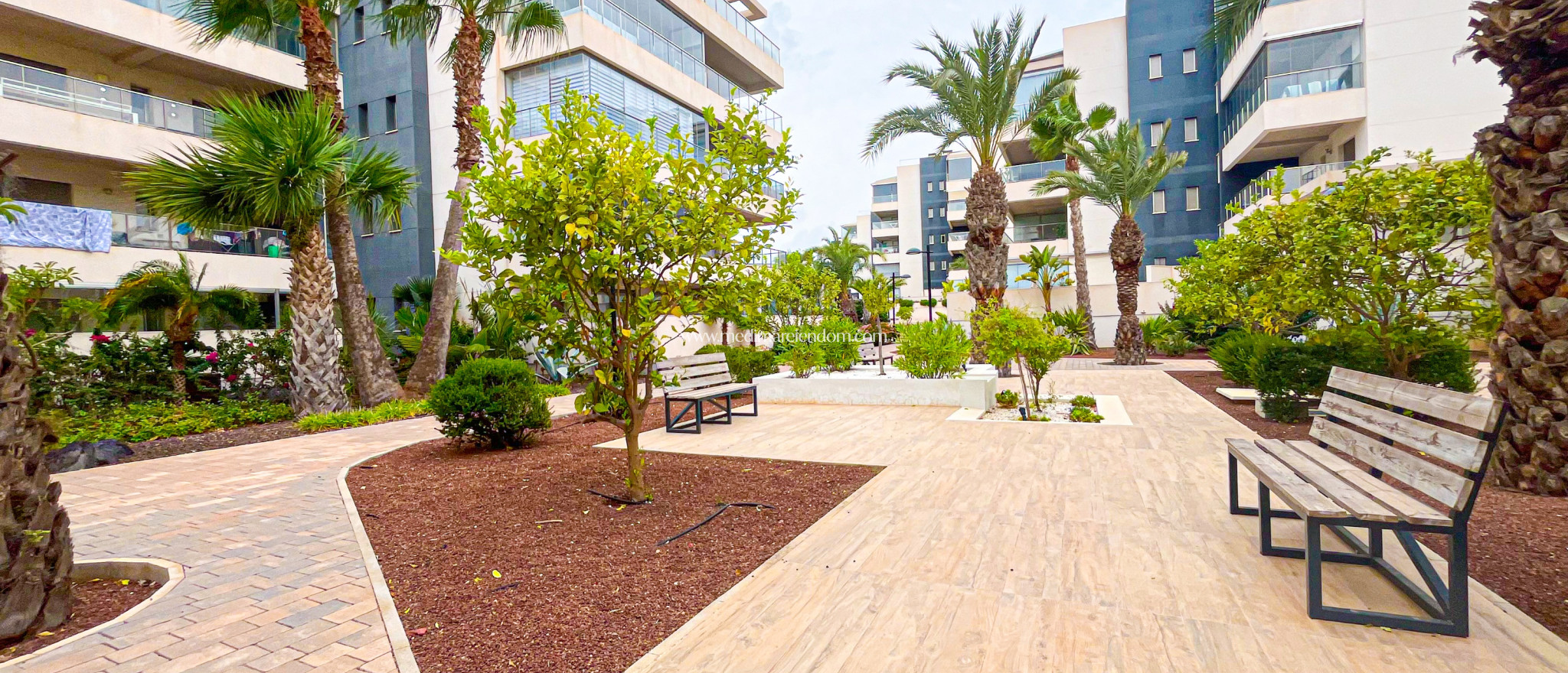 Endursala - Íbúð - Orihuela - Orihuela Costa