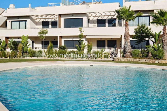 Endursala - Íbúð - Torrevieja - La Veleta