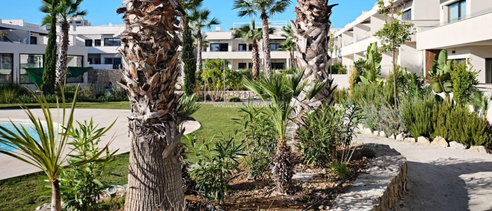 Endursala - Íbúð - Torrevieja - La Veleta