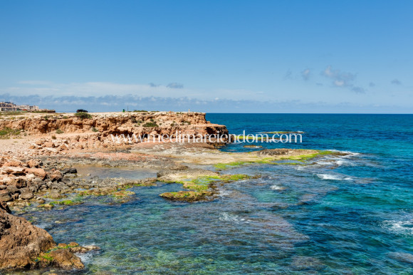 Endursala - Íbúð - Torrevieja - Playa De Los Locos
