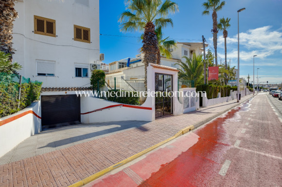 Endursala - Íbúð - Torrevieja - Playa De Los Locos