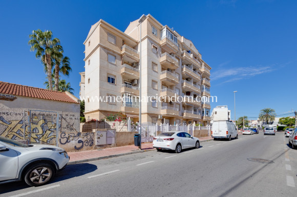 Endursala - Íbúð - Torrevieja - Playa Del Cura