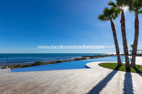 Endursala - Íbúð - Torrevieja - Punta Prima