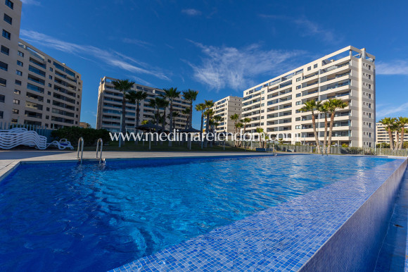 Endursala - Íbúð - Torrevieja - Punta Prima