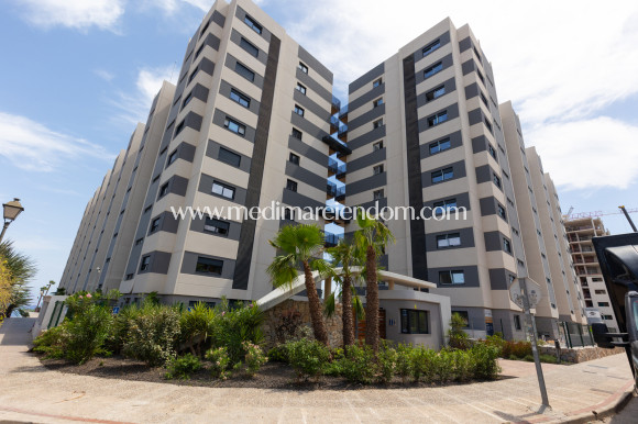 Endursala - Íbúð - Torrevieja - Punta Prima