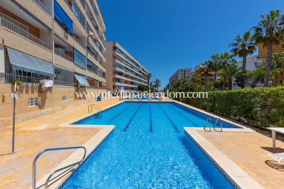 Endursala - Íbúð - Torrevieja - Rocio del Mar