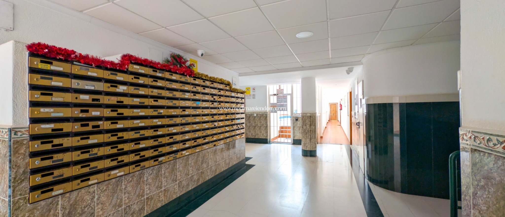 Endursala - Íbúð - Torrevieja