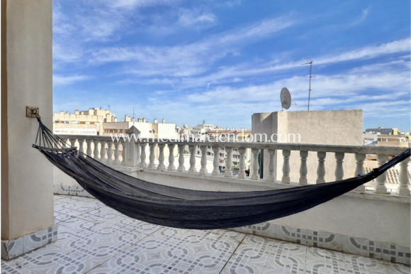 Endursala - Íbúð - Torrevieja