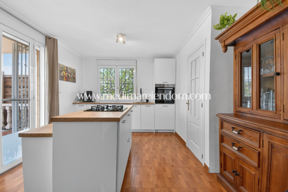 Endursala - Landsbyggð - Albatera