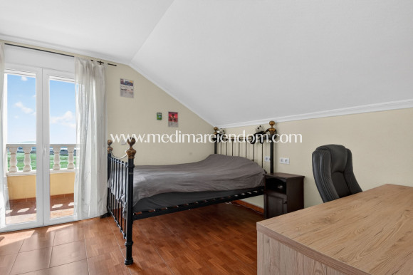 Endursala - Landsbyggð - Albatera