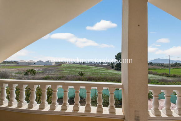 Endursala - Landsbyggð - Albatera