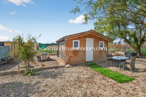 Endursala - Landsbyggð - Albatera