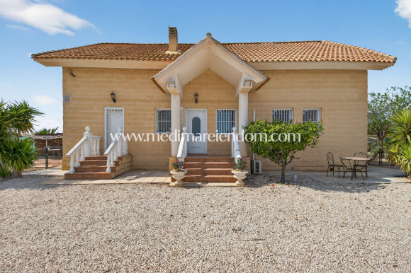 Endursala - Landsbyggð - Albatera