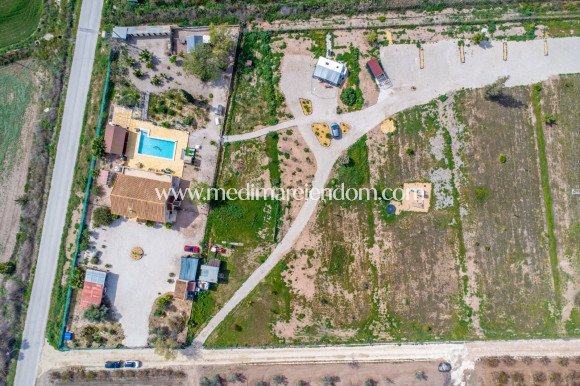 Endursala - Landsbyggð - Albatera