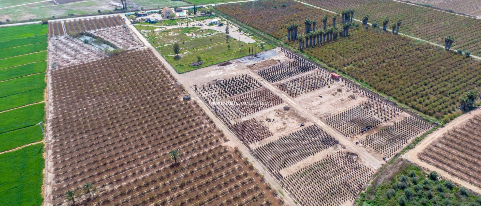 Endursala - Landsbyggð - Albatera