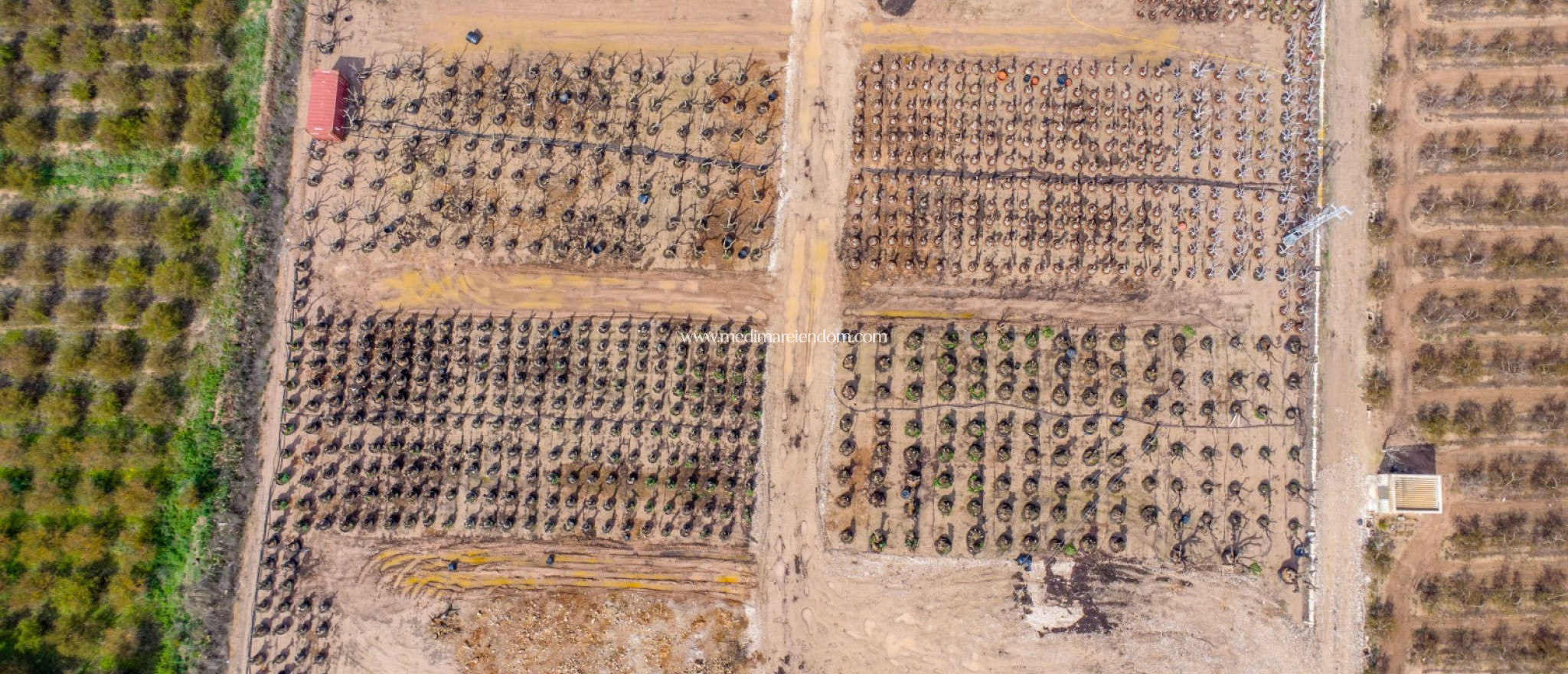 Endursala - Landsbyggð - Albatera